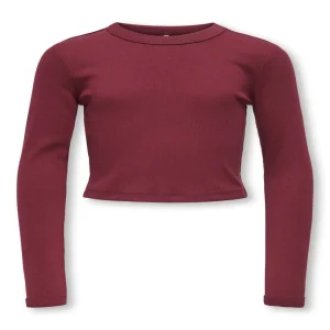 Maglietta Bordeaux Cropped - Only Kids